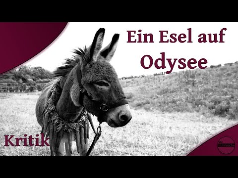 EO  Kritik(2022) Die Reise eines Esels - spoilerfrei