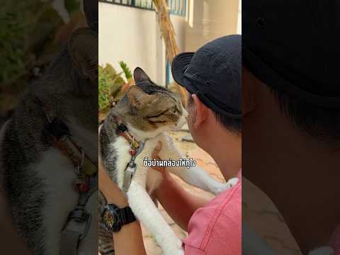 มึงไม่ยอมซื้อบ้านกล่องให้ไง #เดี่ยวสะบีดาย