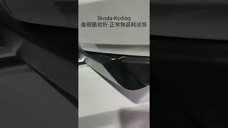 [心得] SKODA-KODIAQ後視鏡間隙導致零件磨損