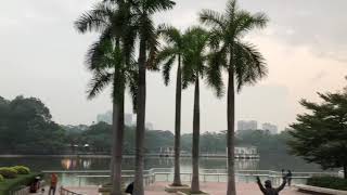 preview picture of video '2. My November 2018, Guangzhou,China (Моменты Ноября , Гуанчжоу, Китай'