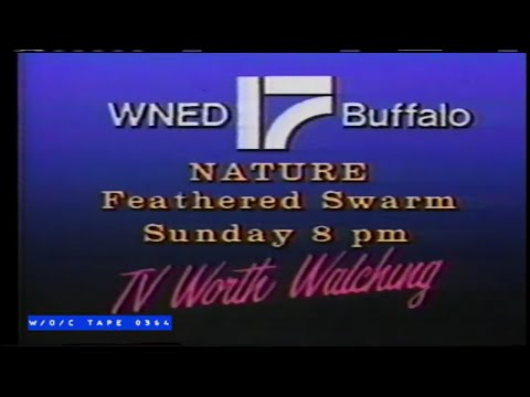 WOC Tape 0364 Station Promos Compilation - 1984