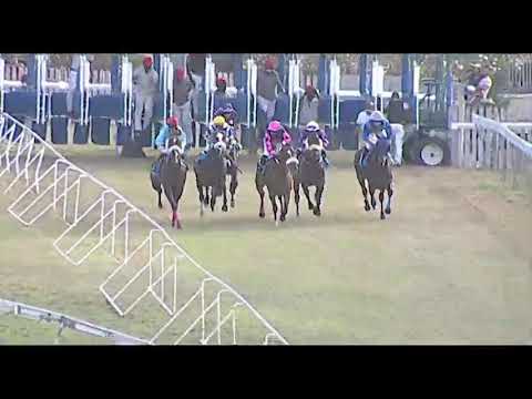 RM24 R7 | Lit | J.Allyhosain