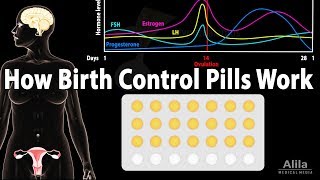 How Birth Control Pills Work, Animation