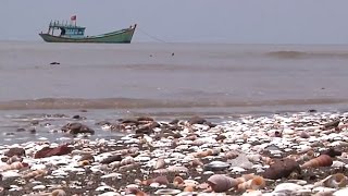 Building a More Resilient and Livable Community in the Mekong Delta in Vietnam