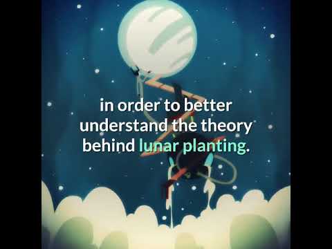 Moon gardening and cannabis does it really work?