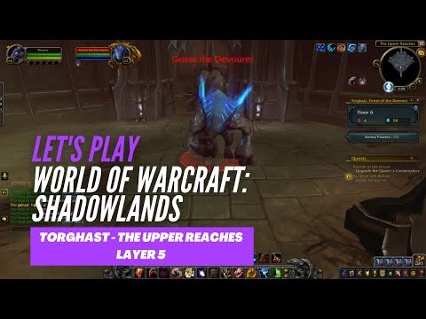 Let's Play World of Warcraft: Shadowlands (Torghast - The Upper Reaches Layer 5)