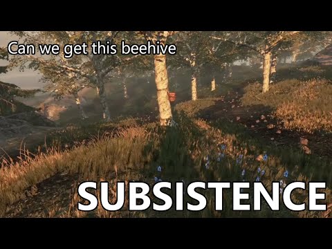 Subsistence S2E46 - Can we get this beehive