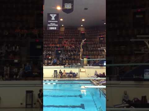 Demetria 205C 3m Yale