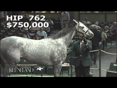 Keeneland November 2015 - Hip 762 - Royal Obsession