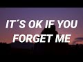 Astrid S It S Ok If You Forget Me Lyrics