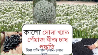পেঁয়াজ বীজ উৎপাদন