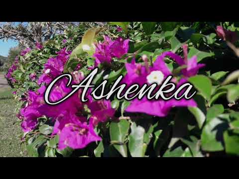 ☆DJ M.R.K X RAY SIGNATURE - Don't Break My Heart [ZoukRemix2018]