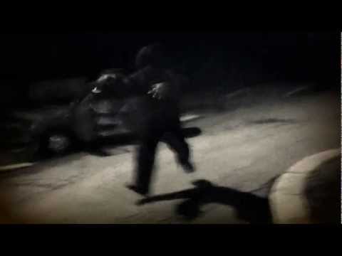 orango tango un'incontro inaspettato torbella orso