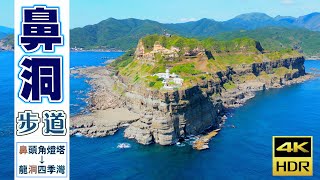 鼻洞步道｜鼻頭角→龍洞｜串起600萬年歷史的鼻頭角與3500萬年的龍洞岬