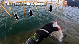 Download lagu Slow Jig Fishing at Spot Dam, Lots of Strikes! mp3