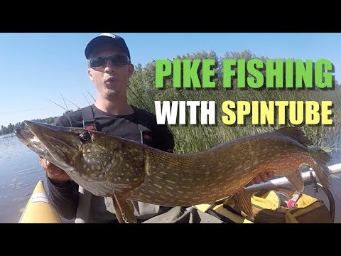 Pike fishing in Finland with Spintube - Northern pike - Gädda - Snoek - Hecht - Luccio - Brochet