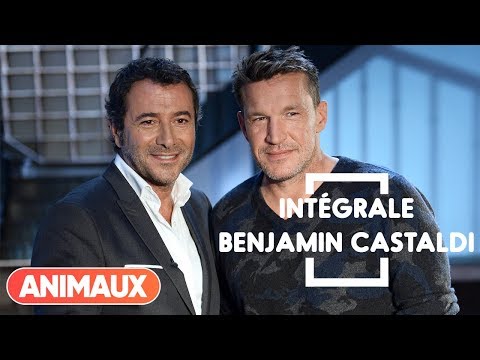 Benjamin Castaldi est dans Animaux Stars - Animaux