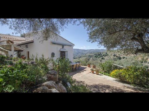 AX610 - Lagar El Hueco, inside the house