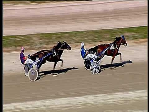 Trotto 20/10/2019 - prova di qualifica