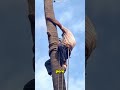 Aprende La Forma Correcta De Cortar Un Árbol 😮