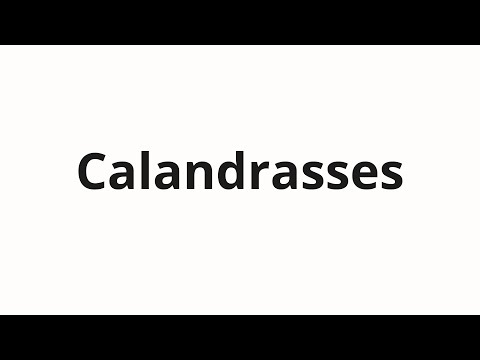 How to pronounce Calandrasses