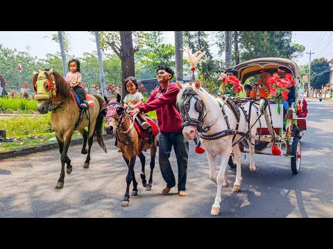 SPECIAL DELMAN RIDE | DELMAN HORSE ~ HORSE RIDE ~ DELMAN RIDE SONG