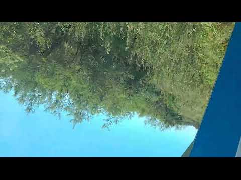 Tren Metropolitano Chaco llegando a Puerto tirol