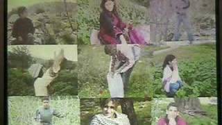 Life in Occupied Palestine (Part IV)