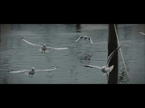 Freefly Wave Superslowmo Test 2