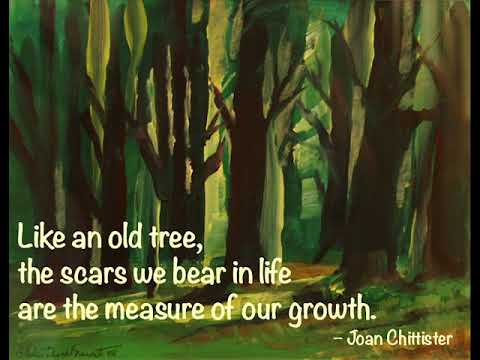 One Minute with Joan Chittister: Scars