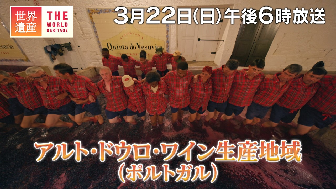 【TBS世界遺産】山を覆い尽くすブドウ畑（ポルトガル）【3月22日午後6時放送】