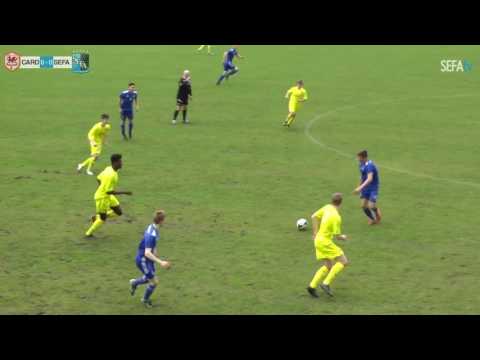 Mikey Dalton - Highlights Video