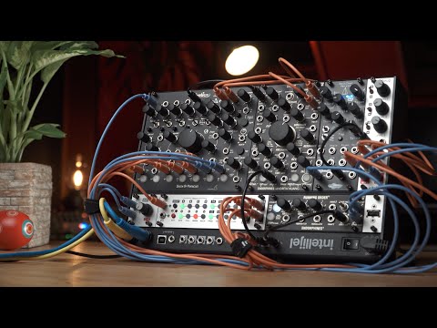 Tiny Modular Synth / Queen of Pentacles is very flexible!