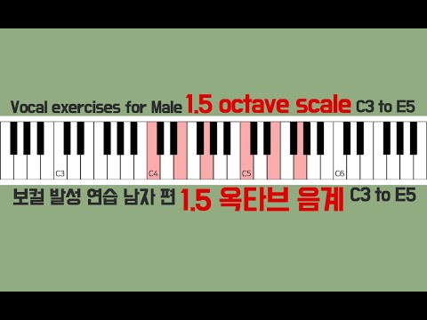 보컬 발성연습 피아노 스케일 1.5 옥타브 음계 / vocal warm up exercises male piano scale 1.5 octave