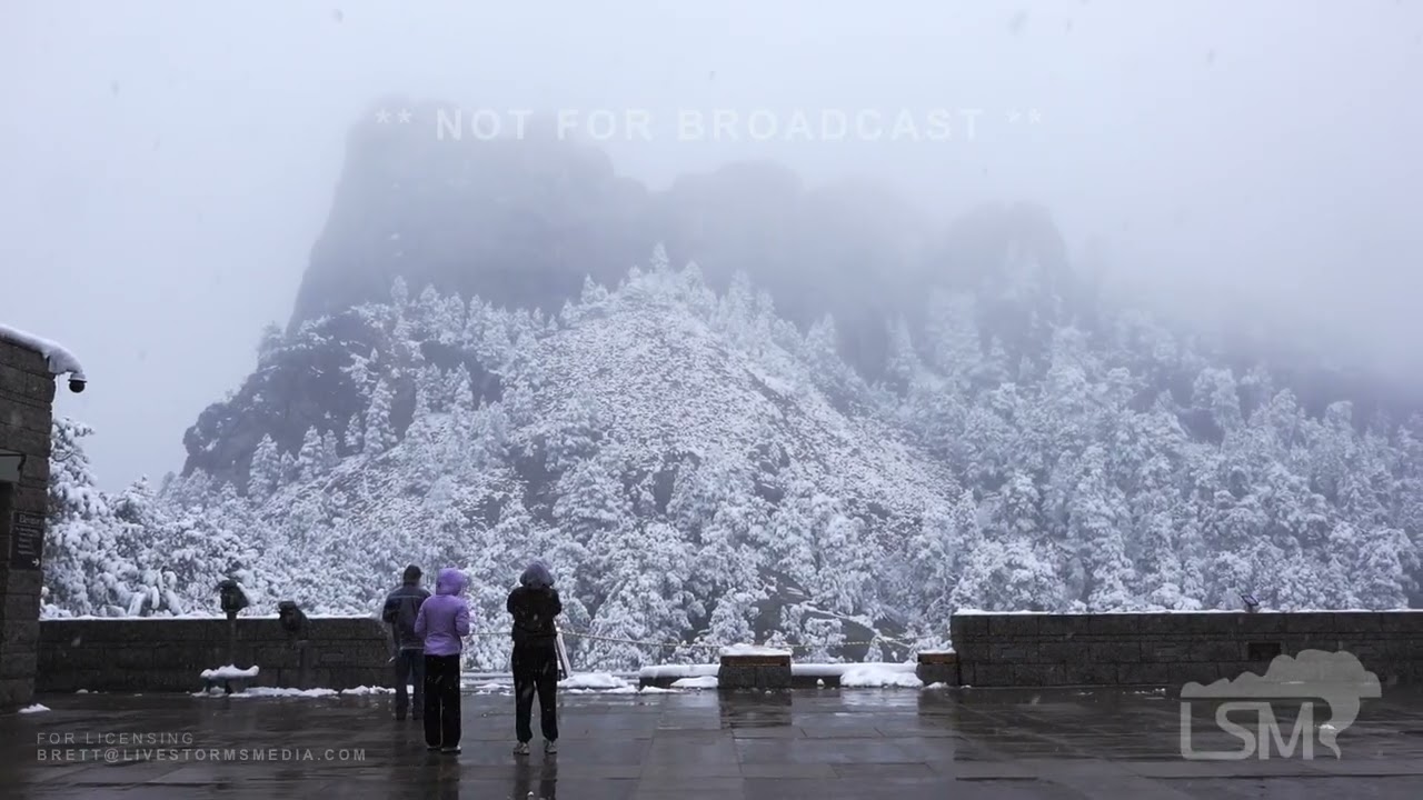 04-24-2026 Keystone, SD - Heavy Spring Snowfall at Mt Rushmore Bends Trees