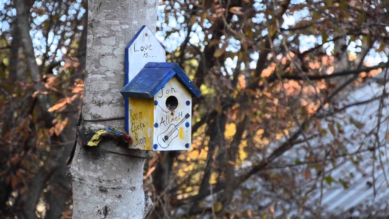 Camp Sunshine Documentary