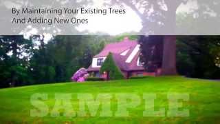 preview picture of video 'Promotional Video for Tree Service Specialists in Pittsburgh Pa'