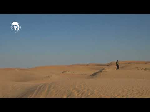 من مست بهار حسنت | Man Maste Bahar Hosnat