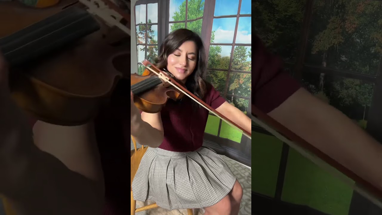 Promotional video thumbnail 4 for Violin Music for Weddings by Bruni Koeller