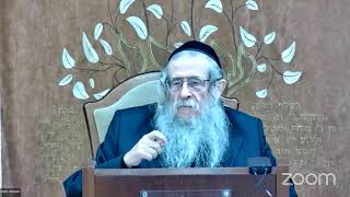 הרה"ג הרב וועכטר שליט"א י"ד טבת תשפ"ד - ליקוטי שיחות חלק ט"ו שיחה עשרה בטבת חלק ו (הרב אברהם מנחם מענדל וכטר) - התמונה מוצגת ישירות מתוך אתר האינטרנט יוטיוב. זכויות היוצרים בתמונה שייכות ליוצרה. קישור קרדיט למקור התוכן נמצא בתוך דף הסרטון