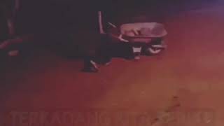 Download lagu Story wa Wong edan kui bebas mp3 Download lagu Story wa Wong edan kui bebas mp3