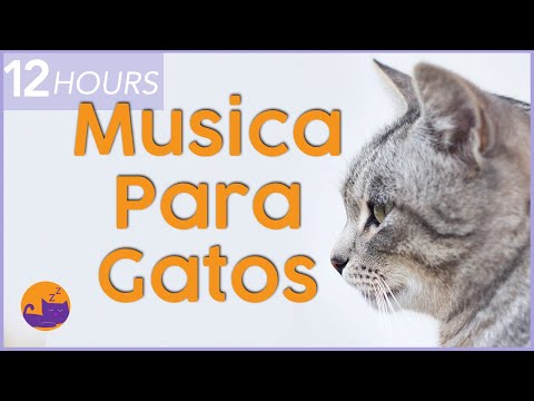 💫Música Magica para Gatos💫  Relájese y Calme a su Felino al Instante