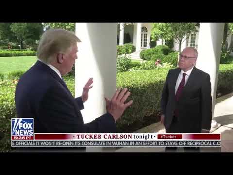 Person Woman Man Camera TV - Fallacious Trump e55