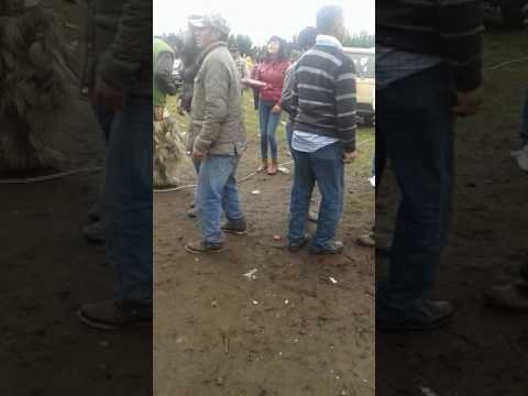 La Sonorisima Banda Cotopaxi EN VIVO