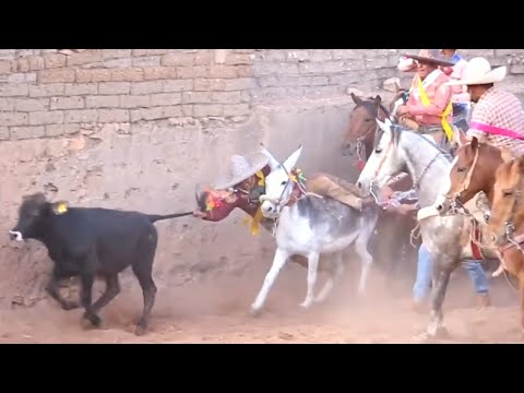SE ANIMO A COLEAR EN UN BURRO LOS COLEADEROS DE ZACATECAS MEXICO