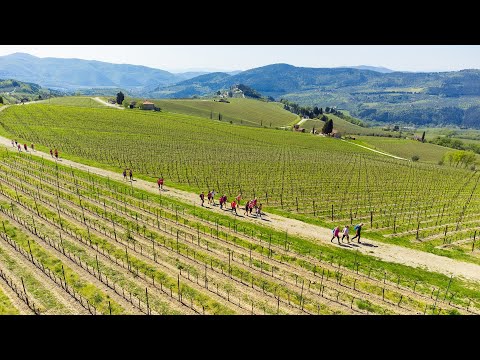 Video Pink Nipozzano - 13 Aprile 2024