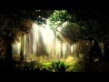 Klaus Schulze - Gaia