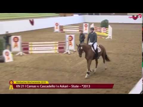 KN 21 Cansas v. Cascadello / Askari - Sondervorstellung 27. Okt.