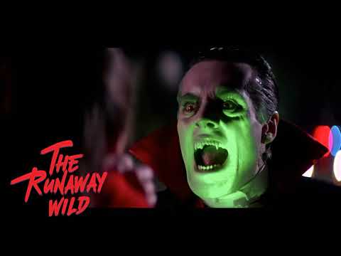 Wild Night [Official Audio]