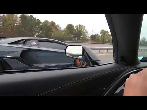 SVJ Lamborghini vs 2019 ZR1 Corvette